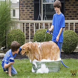 Venta al por mayor China <span class=keywords><strong>Kit</strong></span> de aseo para mascotas Par Hoja Rodillo de pelusa Cepillo de mano Removedor de pelo Deshedding Perros Ajustable - Product Image 5