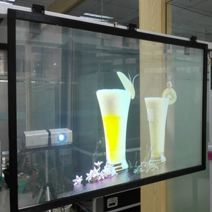 Chiếu Phim Phía Sau Cửa Hàng Cửa Sổ Kính Lá 3D Imgae Trong Suốt Xám Đậm Trắng Đen - Product Image 4