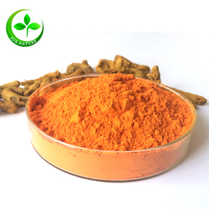 أعلى بيع 100% النقي مستخلص الكركم مسحوق - Product Image 1