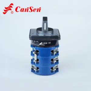 Cansen LW26-125 L-O-P Nhà Sản Xuất Chuyên Nghiệp Nhà Cung Cấp Đáng Tin Cậy Lò Quay Chuyển Đổi