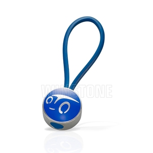 Porte-clés en métal émaillé bleu avec <span class=keywords><strong>logo</strong></span> <span class=keywords><strong>de</strong></span> <span class=keywords><strong>voiture</strong></span> Wing, sangle en plastique, impression UV, plaqué argent - Product Image 5