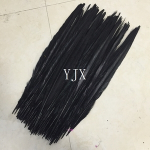 40-45Cm Bán Buôn Dài Plumas De Faisan Ringneck Gà lôi Lông Hình Ảnh - Product Image 5