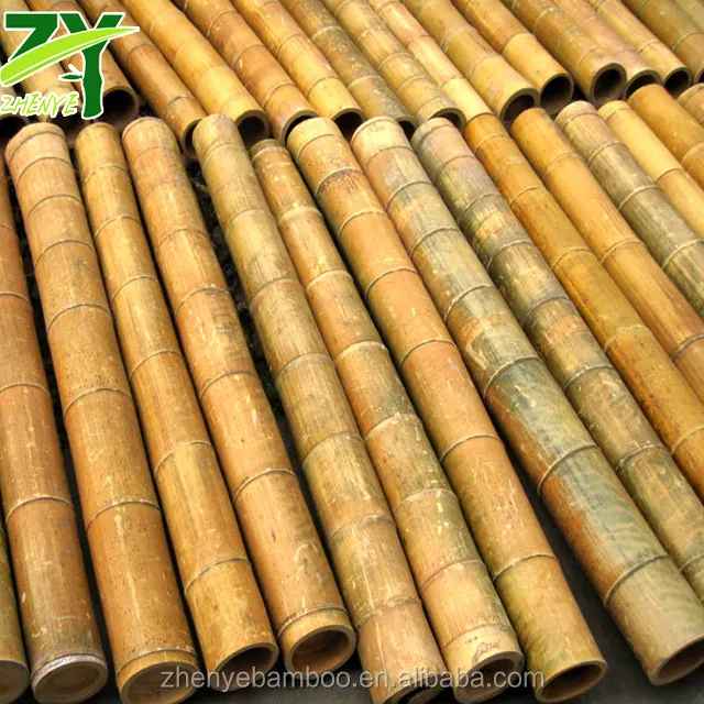 ZY-1011 Bambù Naturale Tronchi Tronchi Tronchi Utilizzati per la costruzione di Bambù di Bambù per Progetti Esterni!