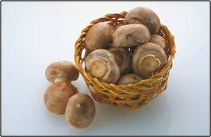 Frais bouton / crimini champignons / suisse brune rushroom - Product Image 5