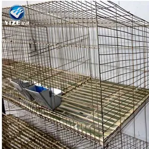 Cage d'élevage de lapin d'intérieur, pour 2 personnes, vente en gros, usine chinoise