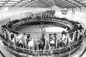 Compteur électronique rotatif <span class=keywords><strong>traite</strong></span> pour ferme laitière - Product Image 6