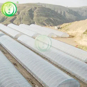 Casas verdes de vidro de alta qualidade, agricultura