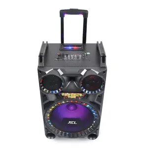 Wholesale Rechargeable Battery Power Trolley outdoor speaker, portable speaker, 12 inch speakers