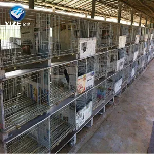 China Factory Rabbit Cages For Sale in Kenya Farm/outdoor rabbit cage