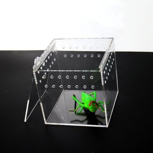 Mini Cage à reptile en plexiglas pour les animaux, bac en acrylique transparente, à motif d'insecte, accessoire de Terrarium - Product Image 3