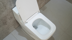 Novo Vaso Sanitário Comfort Height S-trap Durastyle em Uma Peça - Product Image 6