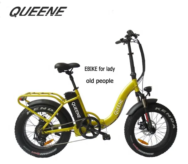 QUEENE/factory 20" 36V 250W electric bicycle trekking e bike golf electric bicycle ebike convention