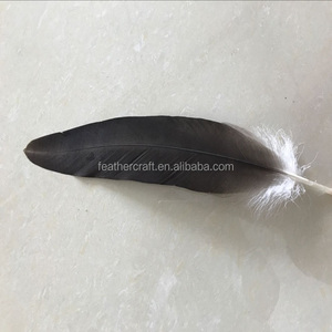 판매를 위한 다른 크기를 가진 대중적인 독수리 깃털 - Product Image 1