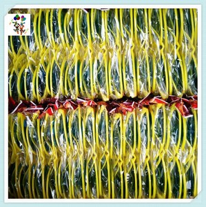 HPC-0676 Kính Dự Tiệc Vui Nhộn Cỡ Lớn Ngoại Cỡ Đồ Ăn Mặc Lạ Mắt Khổng Lồ Giá Rẻ - Product Image 5