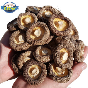 Detan cogumelos secos preço - Product Image 1