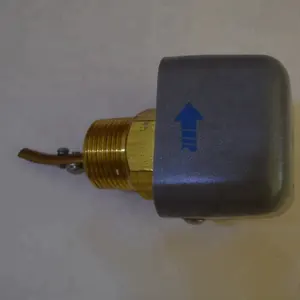 YORK Flow switch 024-26116-000