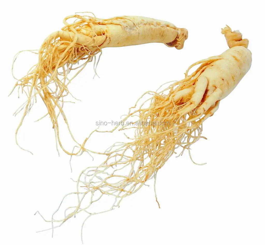 Natuurlijke Wilde Plant Gedroogde Witte Ginseng Wortel Eu Kwaliteit Standaard Ginseng Wortel