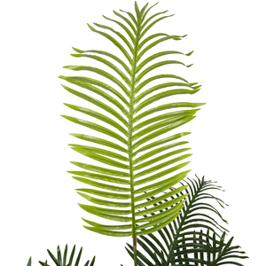 Alibaba Nhà Cung Cấp Trung Quốc Vườn Trang Trí Cây Cọ Nhân Tạo Thực Vật Kenya Robellini Palm - Product Image 2