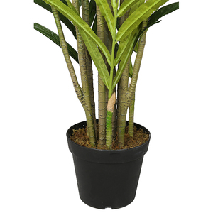 2,8 m Madeira palma de alto verde <span class=keywords><strong>Indorr</strong></span> alto decoración de la planta - Product Image 6