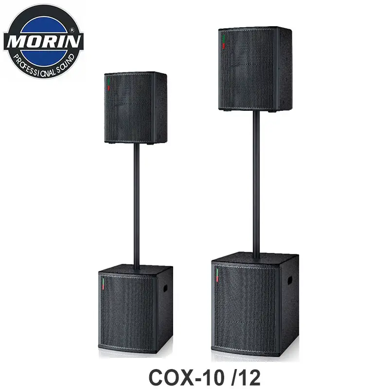 Desain Baru Speaker Koaksial Aktif dengan Subwoofer 10 Inci Speaker Harga Rendah Morin Langit-langit-10