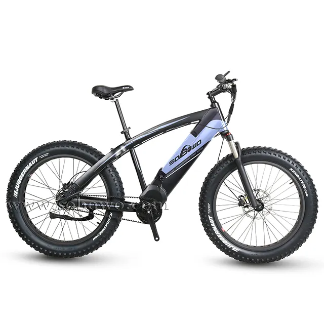 750w/1000w powerful belt pulley mid drive motor electric bike/fat tire mountain electric bicycle