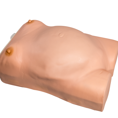 General Doctor Advanced Maternity Examination and Pregnant Women Examination Model