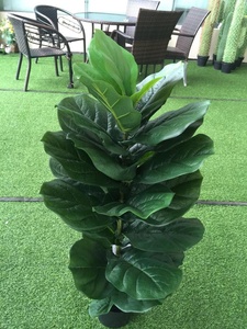 TH-16 artificielles directes D'usine chinois lyrata plante ficus ficus lyrata plante d'intérieur - Product Image 4