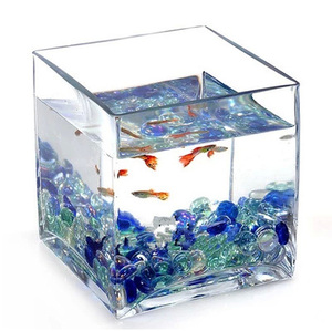 Crystal Clear Glas Bloem Groene Plant Pot 500 Ml 1L 1.5L Grote Fiber Aquarium Aquarium - Product Image 6