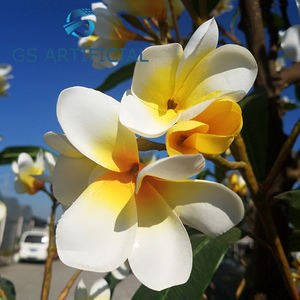 Fleur de plumeau <span class=keywords><strong>artificiel</strong></span>, 1 pièce, plante <span class=keywords><strong>frangipanier</strong></span> - Product Image 2