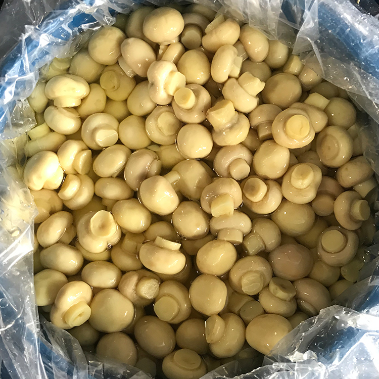 Недорогой гриб-шампиньон в барабане