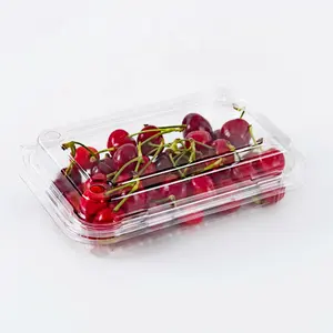 250g 300g PET Disposable Blister Plastic Container For Fruit Clear Clamshell Packaging Fruit Punnet