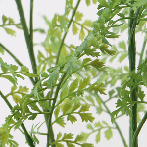 Decorazione per la casa di piante artificiali di felce artificiali ad alta simulazione - Product Image 5