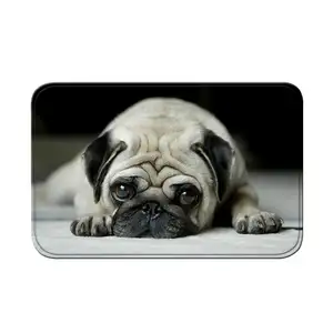 Pug Hond Front Rubber Deur Mat Schattige Dieren Foto Vloermatten