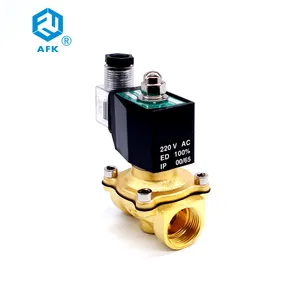 Low Pressure Brass 12v dc solenoid