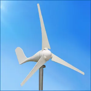 Goede Kwaliteit 400W Wind Mill Generator 12V 24V Voor Thuis