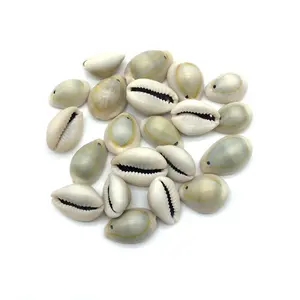 Großhandel natürliche Kauri Muschel Perlen mit Loch lose in Pack Strand Geschenke für DIY Herstellung Schmuck Zubehör