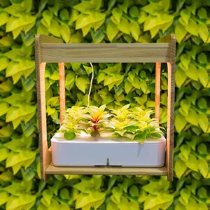 Hydro ponic Smart Garden Anbau Pflanze führte Indoor Smart Garden Bambus Züchter Indoor Kräuter und Obst 12 Pods System