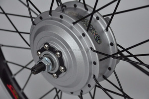36 V 250 W Électrique Vélo/Vélo Électrique De <span class=keywords><strong>Moteur</strong></span> De Moyeu sans balai de <span class=keywords><strong>Moteur</strong></span> De Moyeu De <span class=keywords><strong>Roue</strong></span>/<span class=keywords><strong>moteur</strong></span> <span class=keywords><strong>bafang</strong></span> - Product Image 6