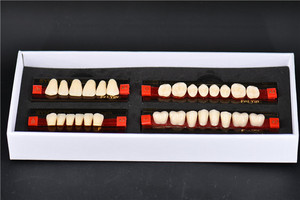 Denti Sintetici in Resina Dentale di Alta Qualità, Prezzo Acrilico Conveniente, Produzione Cinese - Product Image 4