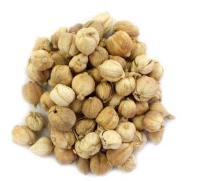 <span class=keywords><strong>Cardamomo</strong></span> Blanco Seco Natural Bai Dou Kou, Amomum Kravanh Pierre Ex Gagnep, Frutas para Especias - Product Image 5