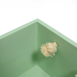 Paulownia peint petite boîte de <span class=keywords><strong>rangement</strong></span> de jouets en bois avec poignées de corde pour enfants jouet - Product Image 5