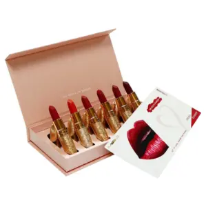 Private label wasserdichte matte glitter geschenk lippenstift kit