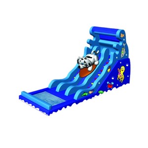 Tobogán inflable comercial con piscina Tobogán húmedo inflable colorido Juguetes para niños al aire libre <span class=keywords><strong>Deslizador</strong></span> <span class=keywords><strong>de</strong></span> <span class=keywords><strong>agua</strong></span> inflable para la venta - Product Image 6