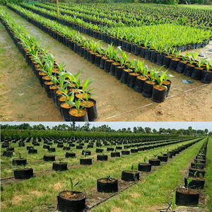 Sacs de culture en tissu, 1000 pièces, valise de culture biodégradables pour <span class=keywords><strong>plantes</strong></span> de jardin - Product Image 5
