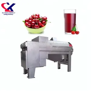 Máquina exprimidora Industrial de cereza, máquina para hacer jugo de cereza