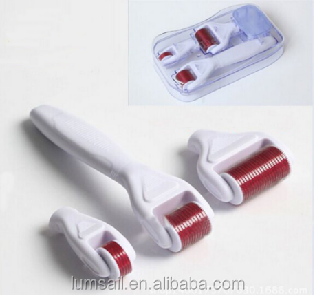 Newest Skin Care Fine Titanium Micro