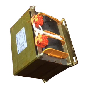 Balasto magnético para lámpara de pesca, fabricante chino, <span class=keywords><strong>1000W</strong></span>