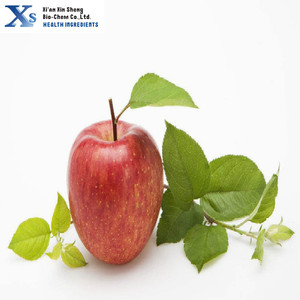 GMP extracto Natural de manzana <span class=keywords><strong>Phloretin</strong></span> 98%; CAS 60-82-2 - Product Image 3