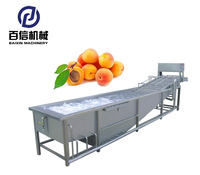 De Goedkoopste Fruit Wasmachine Prijs/Bubble Wasmachine