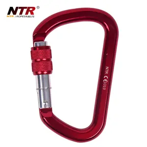 NTR สกรูล็อคอลูมิเนียม D Shape Rock Climbing Carabiner